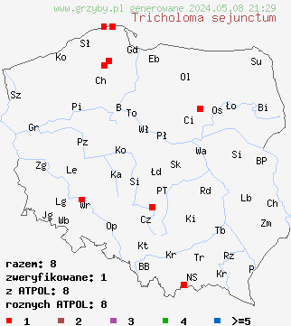 znaleziska Tricholoma sejunctum (gąska zielonożółta) na terenie Polski