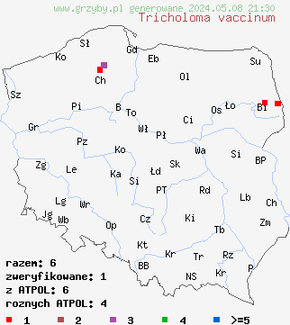 znaleziska Tricholoma vaccinum (gąska krowia) na terenie Polski