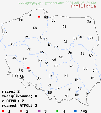 znaleziska Armillaria (opieńka) na terenie Polski