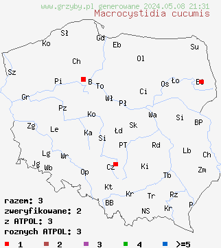 znaleziska Macrocystidia cucumis (mięsichówka ogórkowonna) na terenie Polski
