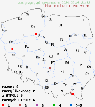 znaleziska Marasmius cohaerens (twardzioszek ciemnotrzonowy) na terenie Polski