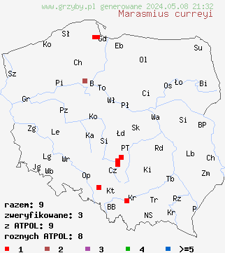 znaleziska Marasmius curreyi (twardzioszek czerwonobrązowy) na terenie Polski