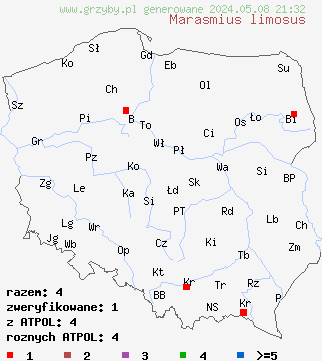 znaleziska Marasmius limosus (twardzioszek trzcinowy) na terenie Polski
