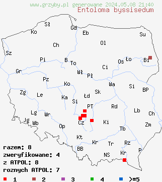 znaleziska Entoloma byssisedum (dzwonkówka muszelkowata) na terenie Polski