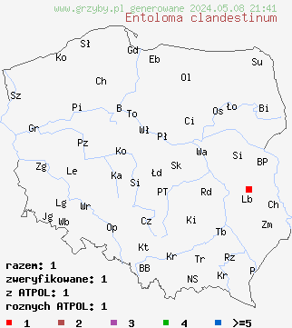 znaleziska Entoloma clandestinum (dzwonkówka gruboblaszkowa) na terenie Polski