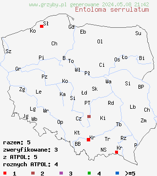 znaleziska Entoloma serrulatum (dzwonkówka czarniawa) na terenie Polski
