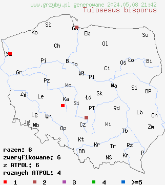 znaleziska Tulosesus bisporus (czernidłak dwuzarodnikowy) na terenie Polski