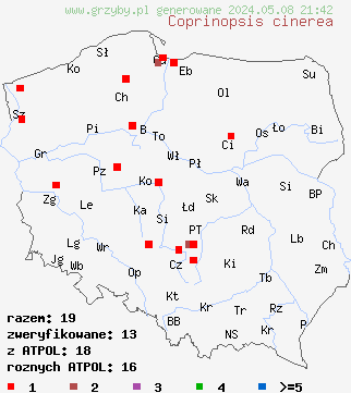 znaleziska Coprinopsis cinerea (czernidłak szarawy) na terenie Polski