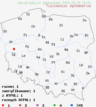 znaleziska Tulosesus ephemerus (czernidłak jednodniowy) na terenie Polski