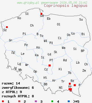 znaleziska Coprinopsis lagopus (czernidłak srokaty) na terenie Polski