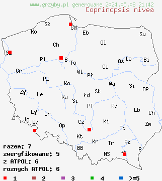 znaleziska Coprinopsis nivea (czernidłak śnieżnobiały) na terenie Polski