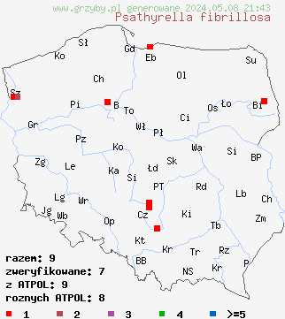 znaleziska Psathyrella fibrillosa (kruchaweczka brązowoochrowa) na terenie Polski