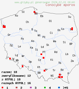 znaleziska Conocybe aporos (stożkówka wiosenna) na terenie Polski