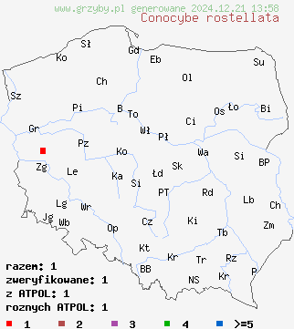 znaleziska Conocybe rostellata na terenie Polski