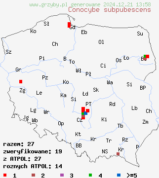 znaleziska Conocybe subpubescens (stożkówka drobnoowłosiona) na terenie Polski