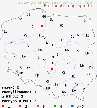 znaleziska Psilocybe coprophila (łysiczka odchodowa) na terenie Polski