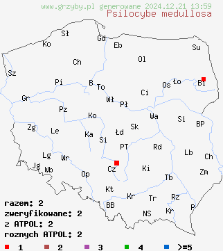 znaleziska Psilocybe medullosa na terenie Polski