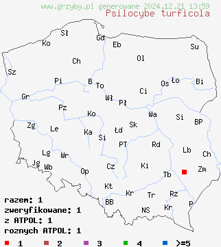 znaleziska Psilocybe turficola (łysiczka torfowa) na terenie Polski