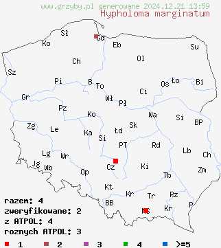 znaleziska Hypholoma marginatum (maślanka zygzakowatotrzonowa) na terenie Polski