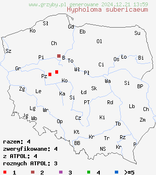 znaleziska Hypholoma subericaeum (maślanka ochrowopłowa) na terenie Polski