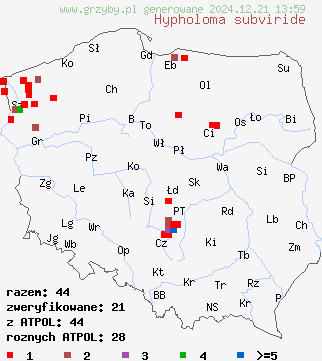 znaleziska Hypholoma subviride (maślanka zielonkawa) na terenie Polski