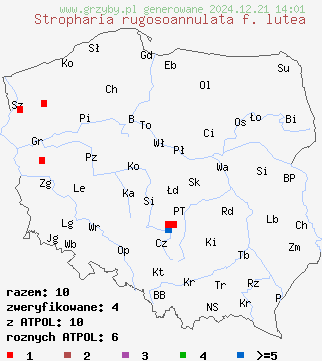 znaleziska Stropharia rugosoannulata f. lutea na terenie Polski