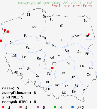 znaleziska Pholiota cerifera (łuskwiak złotawy) na terenie Polski