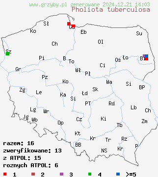 znaleziska Pholiota tuberculosa (łuskwiak gruzełkowany) na terenie Polski