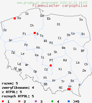 znaleziska Flammulaster carpophilus (płomienniczek owocolubny) na terenie Polski