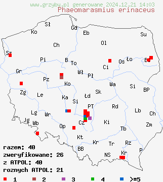 znaleziska Phaeomarasmius erinaceus (ciemnotwardnik łuskowaty) na terenie Polski