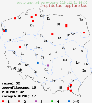 znaleziska Crepidotus applanatus (ciżmówka płaska) na terenie Polski