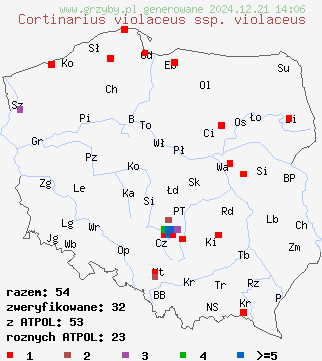 znaleziska Cortinarius violaceus ssp. violaceus (zasłonak fioletowy typowy) na terenie Polski