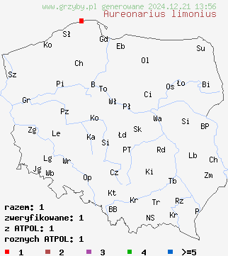 znaleziska Aureonarius limonius (zasłonak cytrynowożółty) na terenie Polski