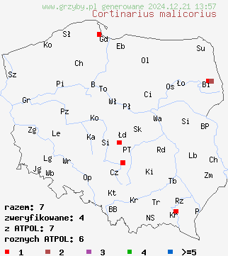 znaleziska Cortinarius malicorius (zasłonak jabłkowaty) na terenie Polski