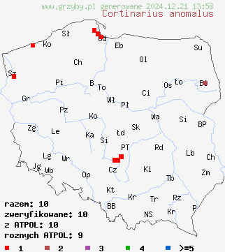 znaleziska Cortinarius anomalus (zasłonak szarobrązowy) na terenie Polski