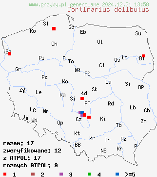 znaleziska Cortinarius delibutus (zasłonak błękitnoblaszkowy) na terenie Polski