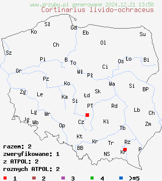 znaleziska Cortinarius livido-ochraceus (zasłonak wyniosły) na terenie Polski