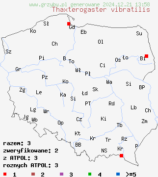 znaleziska Thaxterogaster vibratilis (zasłonak piekący) na terenie Polski