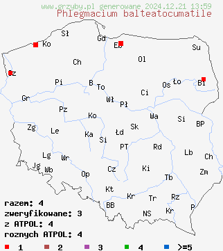 znaleziska Phlegmacium balteatocumatile (zasłonak modrordzawy) na terenie Polski