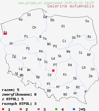 znaleziska Galerina autumnalis (hełmówka jesienna) na terenie Polski