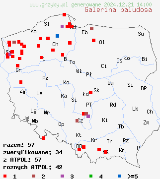 znaleziska Galerina paludosa (hełmówka błotna) na terenie Polski