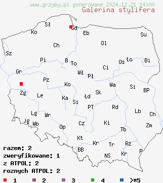 znaleziska Galerina stylifera (hełmówka prążkowana) na terenie Polski