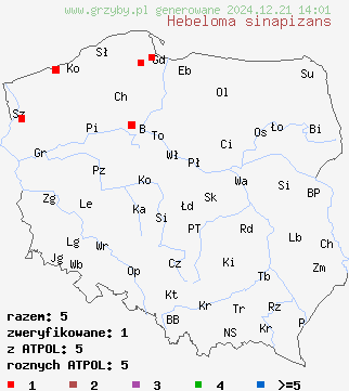 znaleziska Hebeloma sinapizans (włośnianka musztardowa) na terenie Polski