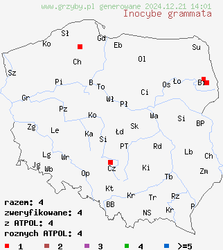 znaleziska Inocybe grammata (strzępiak jedwabisty) na terenie Polski