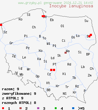 znaleziska Inocybe lanuginosa (strzępiak wełnisty) na terenie Polski