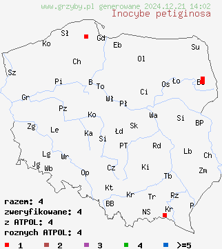 znaleziska Inocybe petiginosa (strzępiak malutki) na terenie Polski