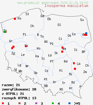 znaleziska Inosperma maculatum (włókniak plamisty) na terenie Polski