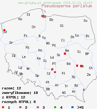 znaleziska Pseudosperma perlatum (rysostrzępiak perłowy) na terenie Polski