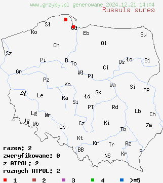 znaleziska Russula aurea (gołąbek złotawy) na terenie Polski