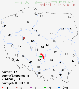 znaleziska Lactarius trivialis (mleczaj niebieskawy) na terenie Polski